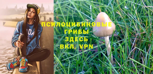 синтетический гашиш Алексеевка