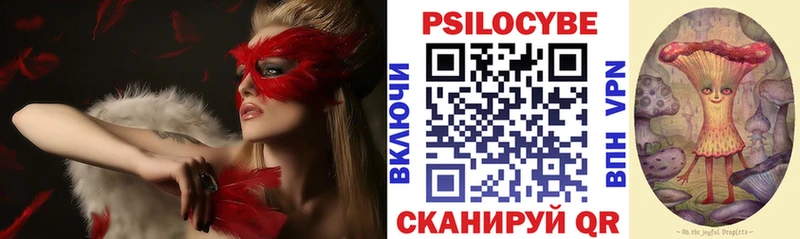 хочу   Еманжелинск  Галлюциногенные грибы Psilocybine cubensis 