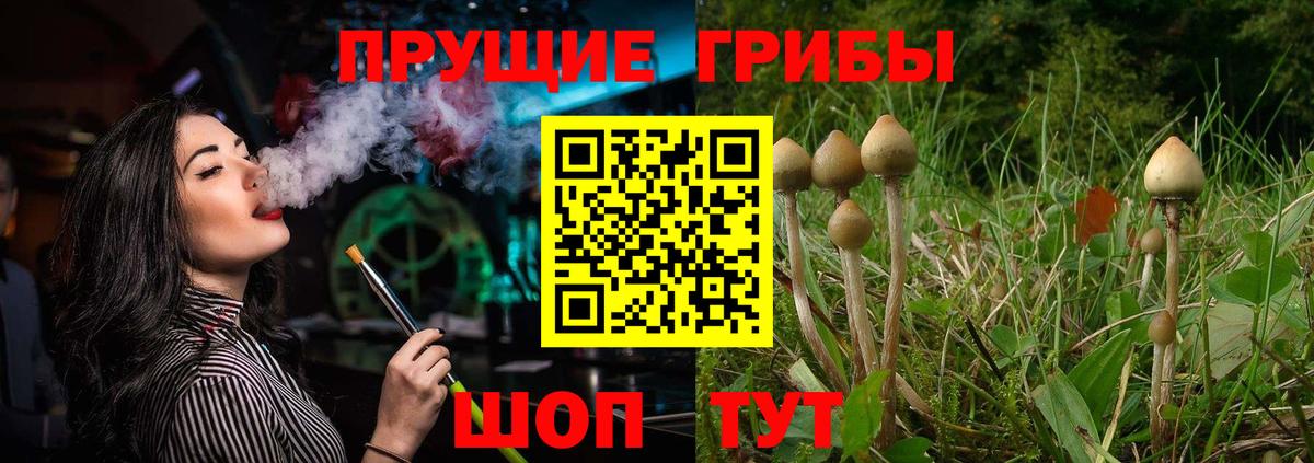Псилоцибиновые грибы ЛСД  Вход с VPN  Псилоцибиновые грибы мицелий  купить  сайты  Еманжелинск 
